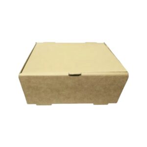Caja de Cartón para Envíos 21 x 16 x 9 cm – Pack 10 Unidades