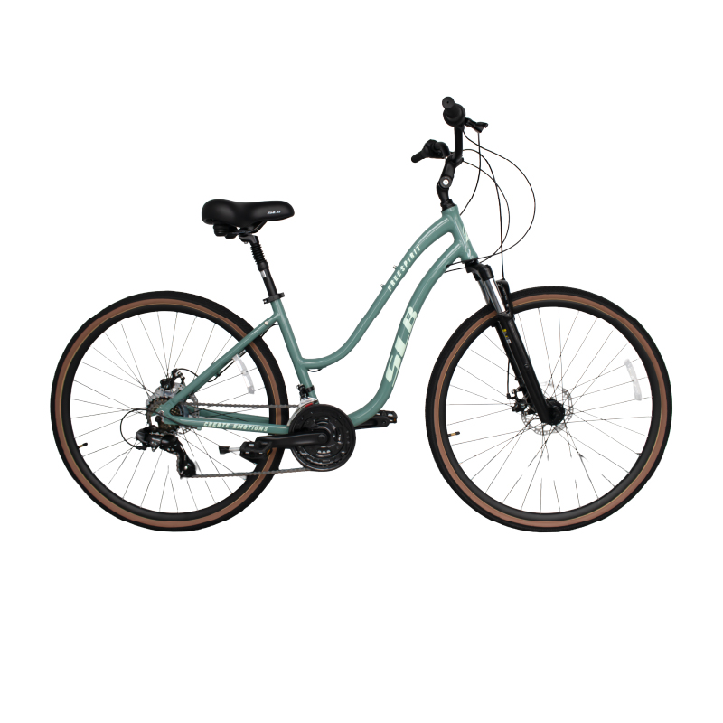 Bicicleta SLB Freespirit Comfort Lady 700C 21V