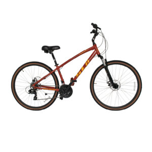 Bicicleta SLB Freespirit Comfort Men 700C 21V