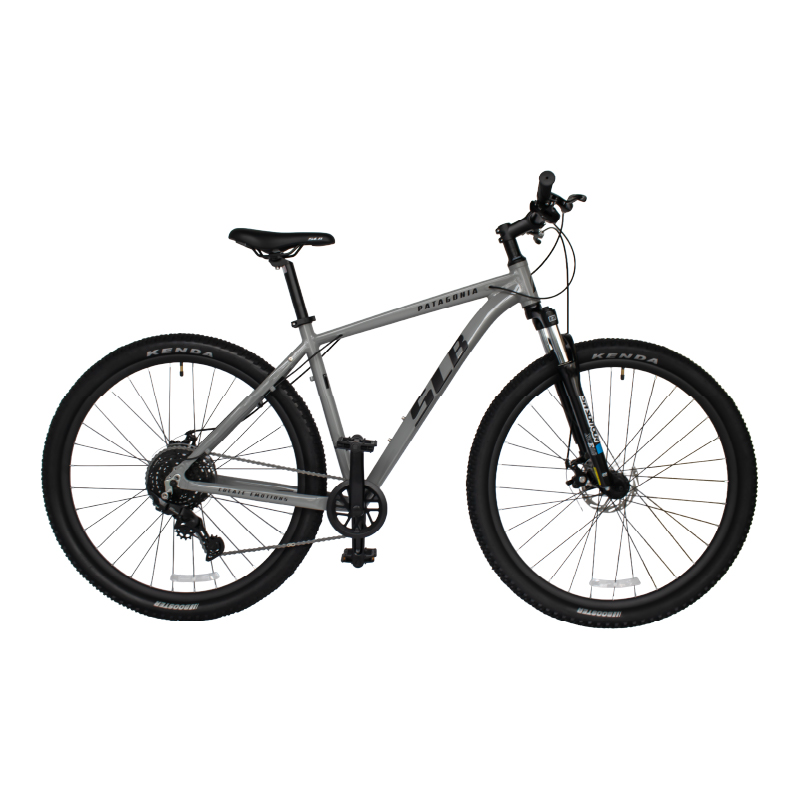 Bicicleta SLB Patagonia 29 9V Gris