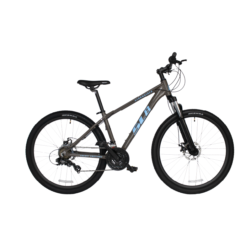 Bicicleta SLB Stormrider 27.5 Gris